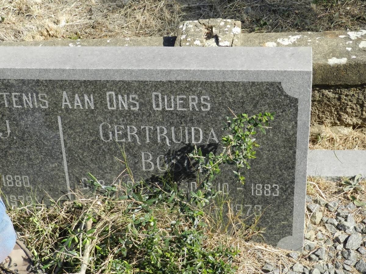 BOSCH Gertruida 1883-1973.JPG