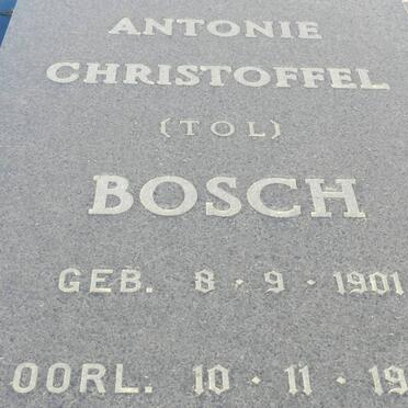 BOSCH Antonie Christoffel 1901-1982