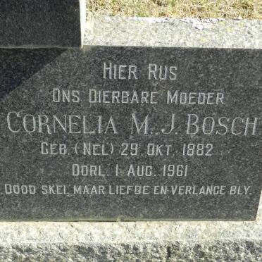 BOSCH Cornelia M. nee NEL 1882-1961