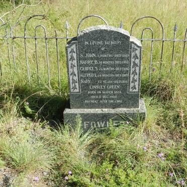 FOWLER Linsley Green 1824-1905