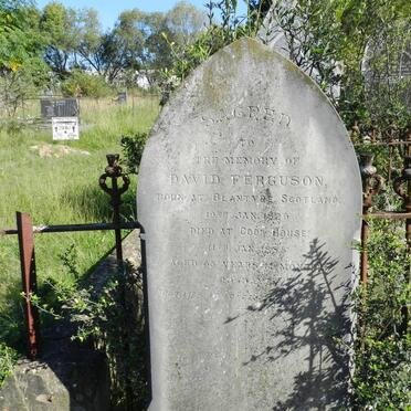 FERGUSON David 1829-1885