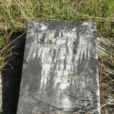 GREEFF Lorenzo A. 1894-1937