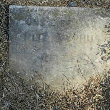 GELEEN Rita Syphus 1915-1918