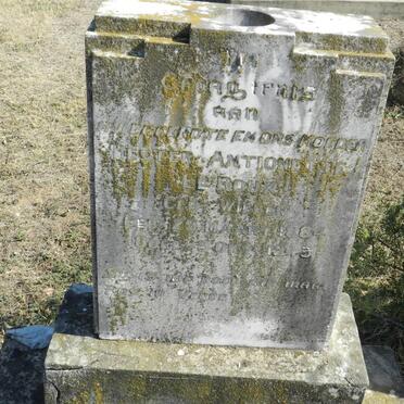 ROUX Hester Antionette, le 1884-1943