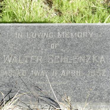 SCHLENZKA Walter -1952