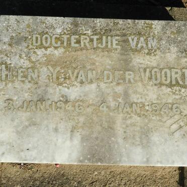 VOORT Baba, van der 1946-1946