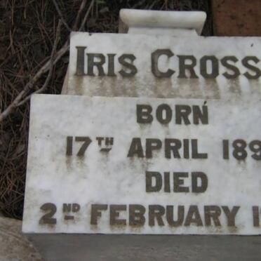 CROSS Iris 1899-1900