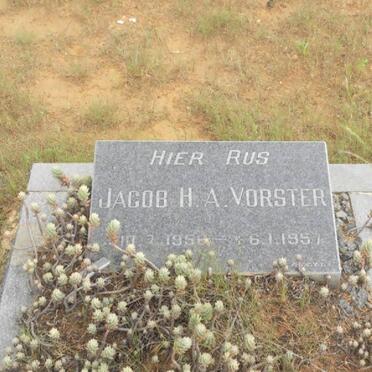 VORSTER Jacob H.A. 1956-1957