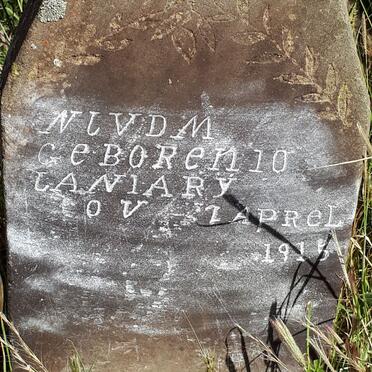 MERWE N.J., van der -1915