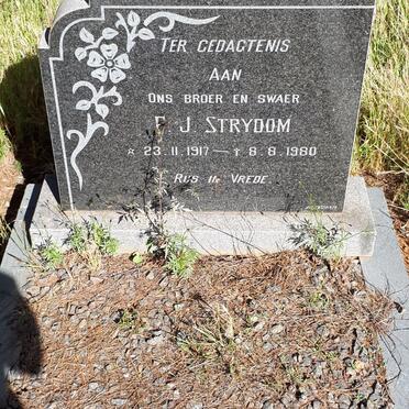 STRYDOM P.J. 1917-1980