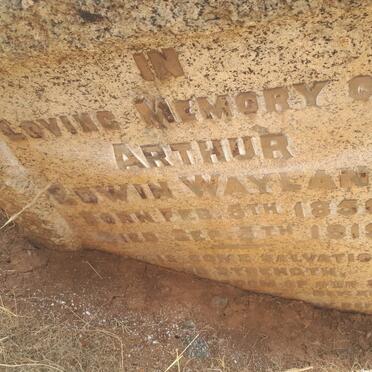 WAYLAND Arthur ?win 1856-1919