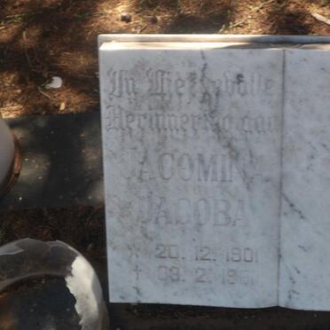 ? Jacomina Jacoba 1901-19??