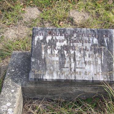 BARTLETT Eric 1914-1916