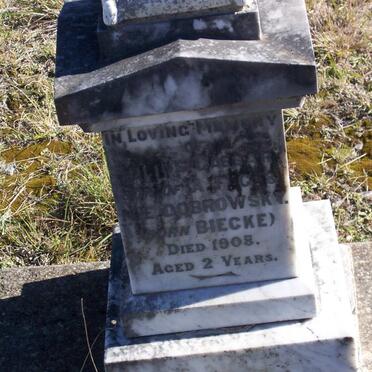 DOBROWSKI Julius Caesar -1908