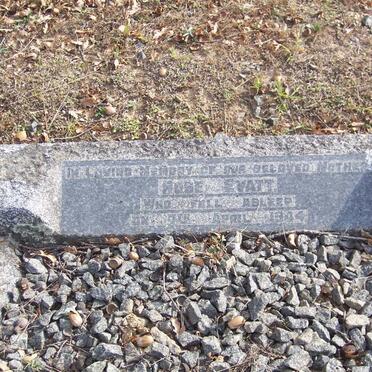 E - Surnames :: Vanne - E