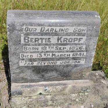 K - Surnames :: Vanne - K