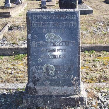 MANTHE Gottfried 1861-1931 &amp; Johanna BUNGE 1863-1940