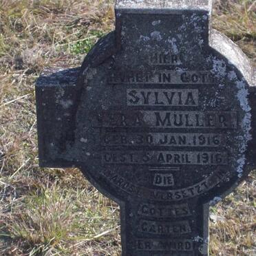 MULLER Sylvia Vera 1916-1916