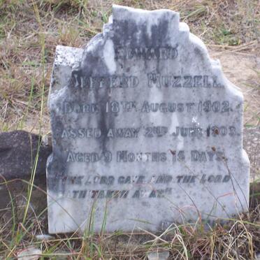 MUZZELL Edward Jefferd 1902-1903