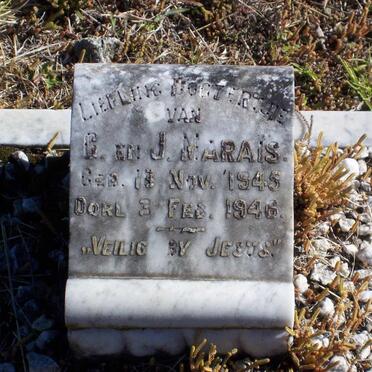 MARAIS Daughter 1945-1946