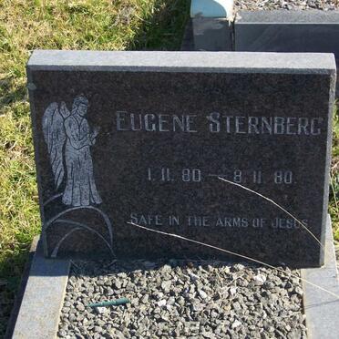 STERNBERG Eugene 1980-1980