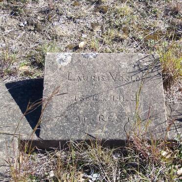 VOSLOO Laurie 1884-1942