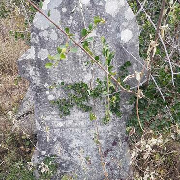 ENGELBRECHT Johanna Helena 1824-1888