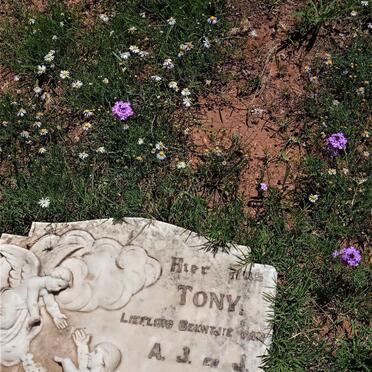 BERNARD Tony 1931-1940