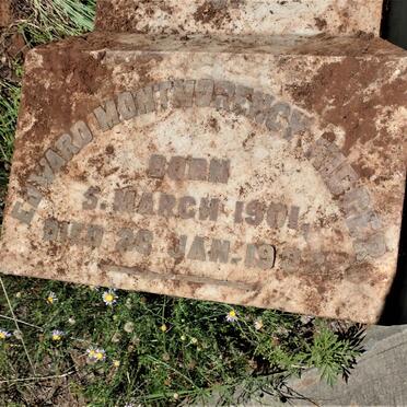 KIDGER Edward Montmorency 1901-1902