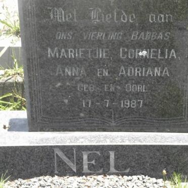 N - Vanne :: Surnames - N