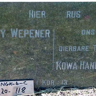 WEPENER Roy :: HANDKINS Kowa