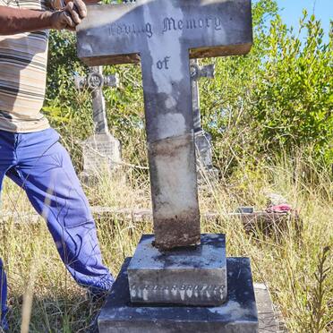 ANDERSON Victor -1913 