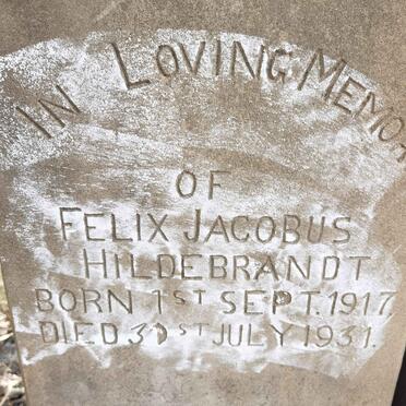 HILDEBRANDT Felix Jacobus 1917-1931