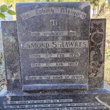 HAWKES Esmond S. 1929-1952