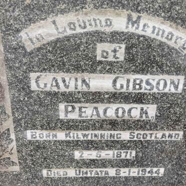 PEACOCK Gavin Gibson 1871-1944