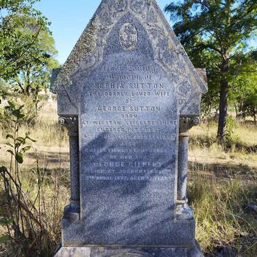 SUTTON Sophia -1910 :: SUTTON George Gilbert -1897