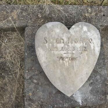 TROLLOPE Sarah -1912