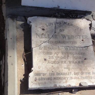 WEBSTER Nellie -1918