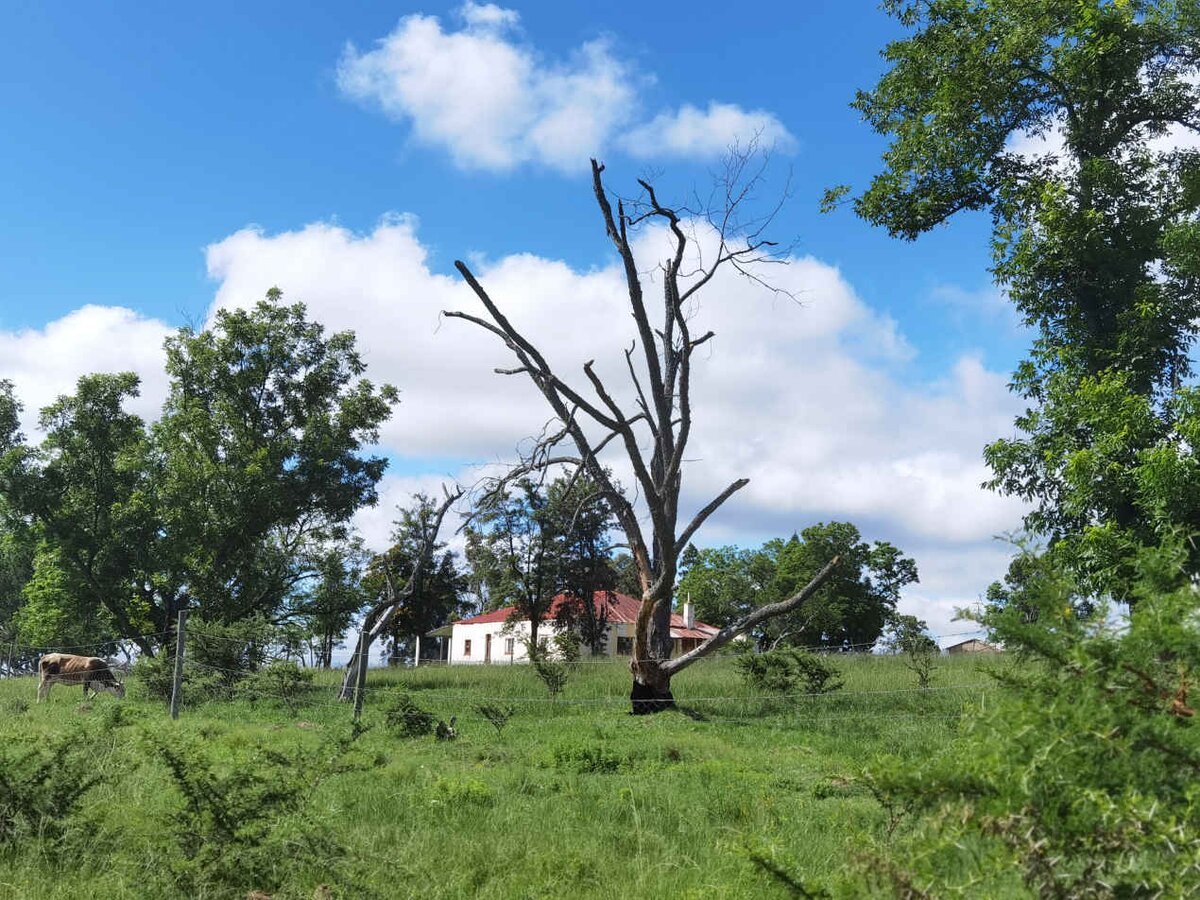 5. Overview / Oorsig