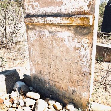 TERBLANCHE F.P. 1895-1919