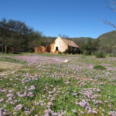 Eastern Cape, WILLOWMORE district, Baviaanskloof, De Couga 231, Apieskloof, farm cemetery