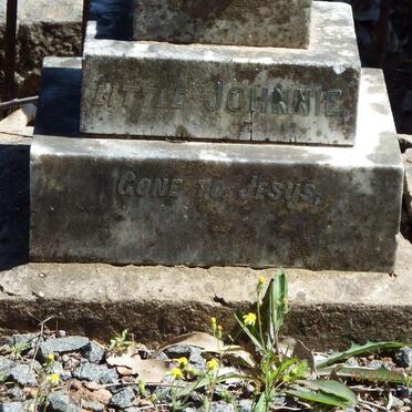 WESSON Violet Emily nee KINGMAN -1978 :: WESSON Maude -1907 :: WESSON Johnnie