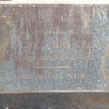 SHAW Alice nee TIMM 1883-1968