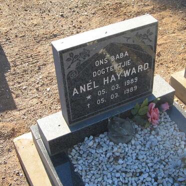 HAYWARD Anel 1989-1989