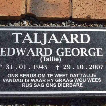 T - Vanne :: Surnames - T