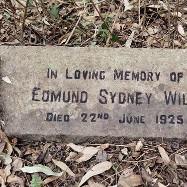 WILD Edmund Sydney -1925