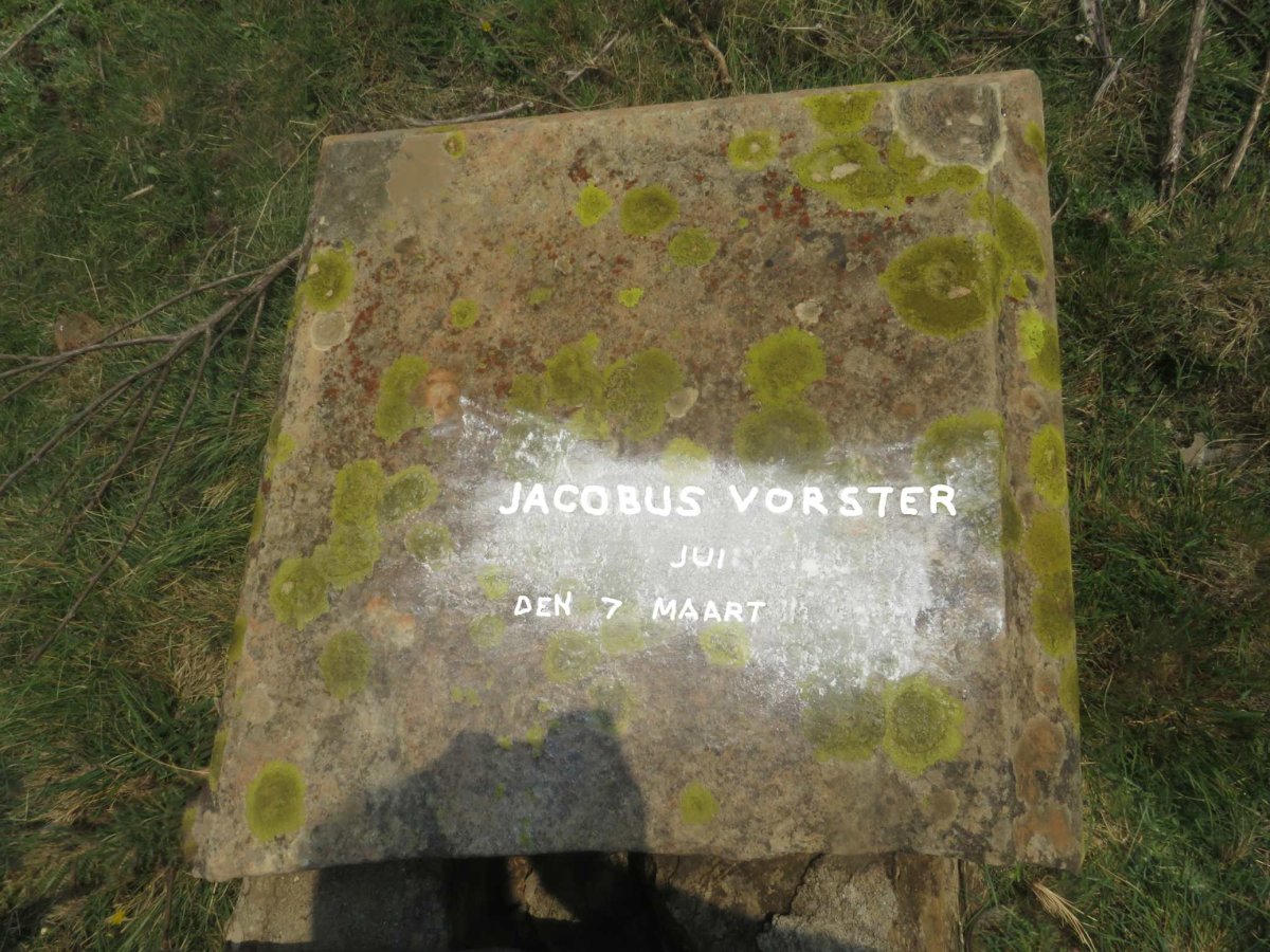 VORSTER Jacobus