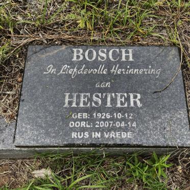 BOSCH Hester 1926-2007