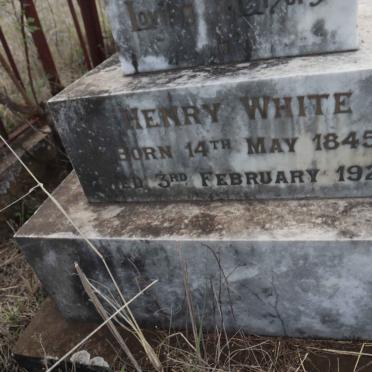 WHITE Henry 1845-1927