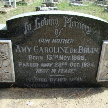 BRUIN Amy Caroline, de 1868-1934